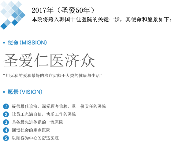 2017年（圣爱50年）本院将跨入韩国十佳医院的关键一步，其使命和愿景如下：